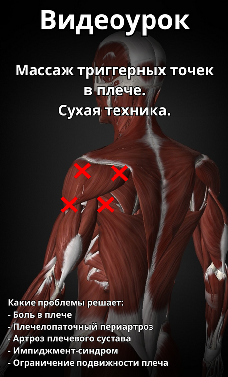 [Артём Пак] Массаж триггерных точек в плече (2024)_0.png